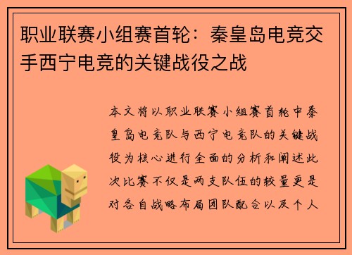 职业联赛小组赛首轮：秦皇岛电竞交手西宁电竞的关键战役之战